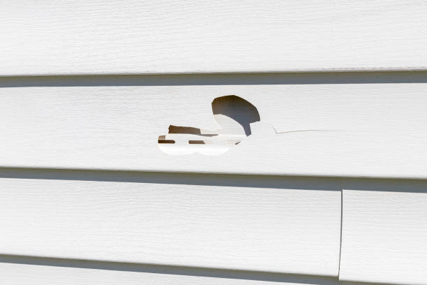Best Custom Siding Design  in Birmingham, AL