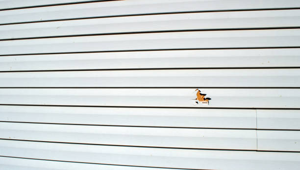 Best Stone Veneer Siding  in Birmingham, AL