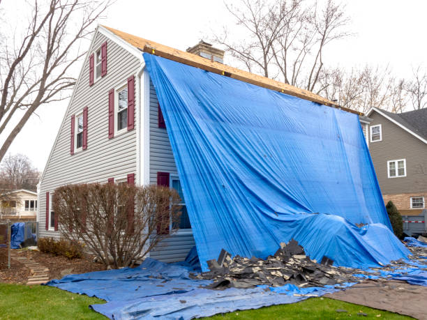 Best Fiber Cement Siding Installation  in Birmingham, AL